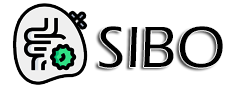 Logo sibo